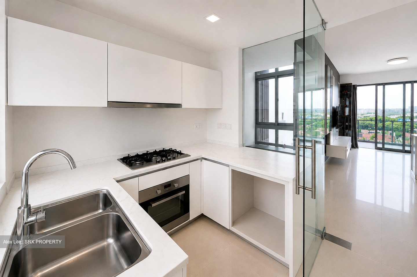 Oasis Garden (D19), Condominium #576501571